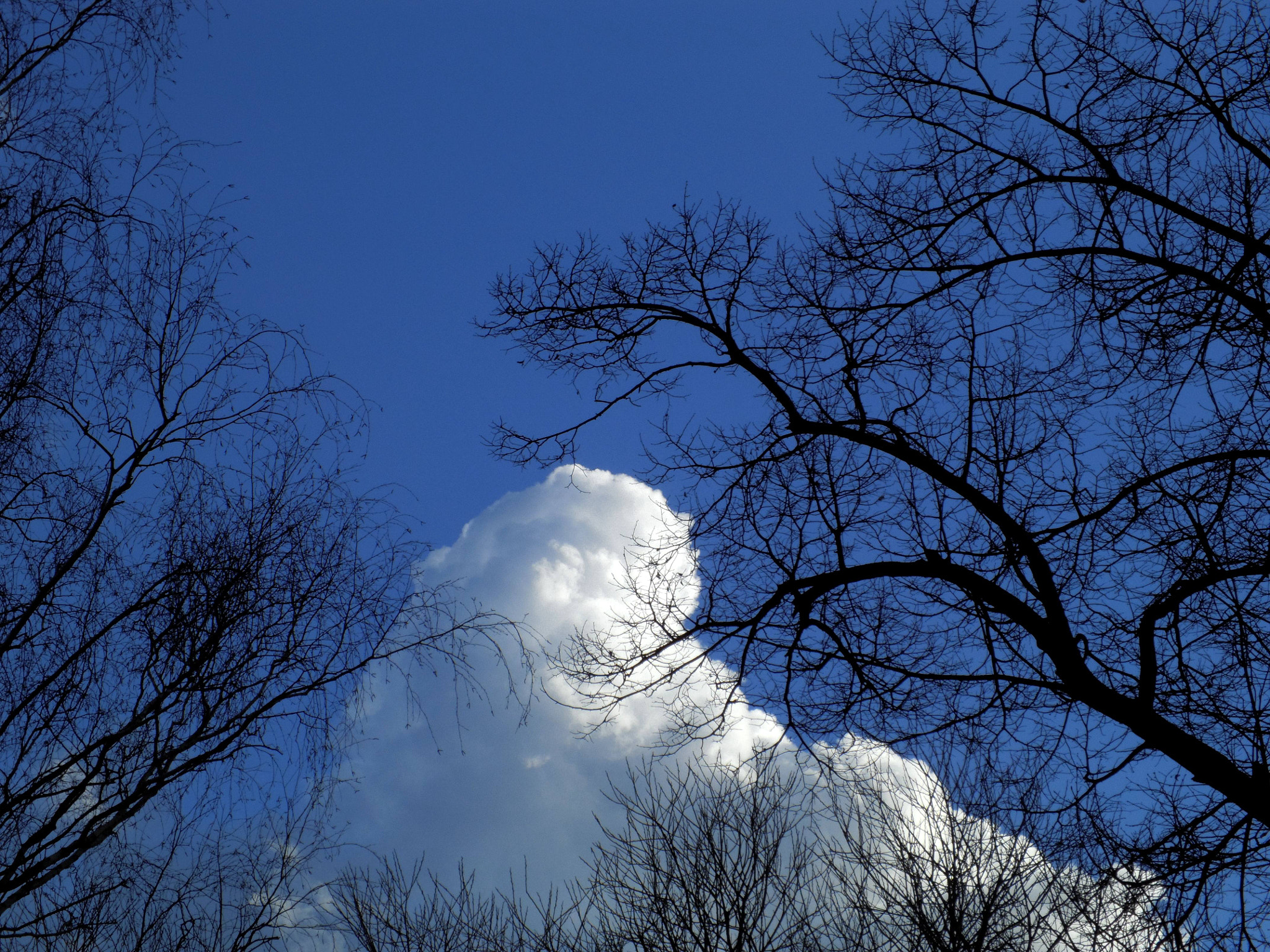 Benq G1 sample photo. Cloud like a snowman photography