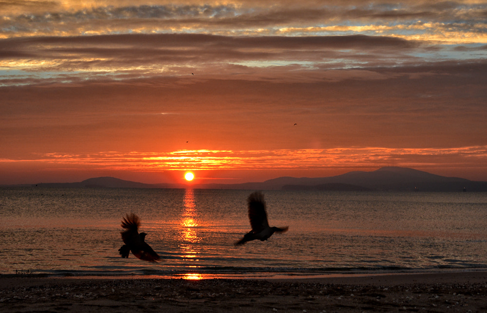 Samyang 35mm F1.4 AS UMC sample photo. Sunrise photography