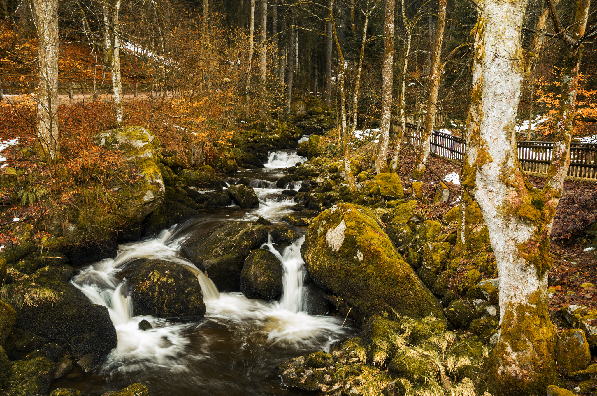 Sony SLT-A57 sample photo. Black forest river photography