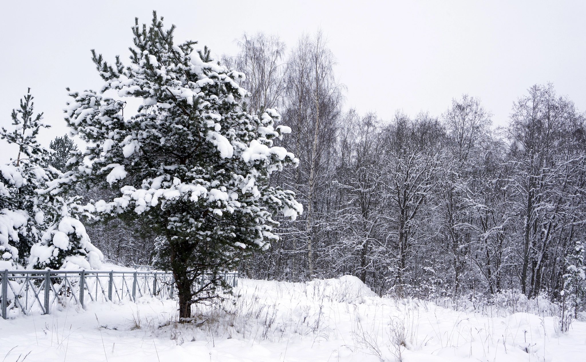 Sony E 35mm F1.8 OSS sample photo. Winter. photography