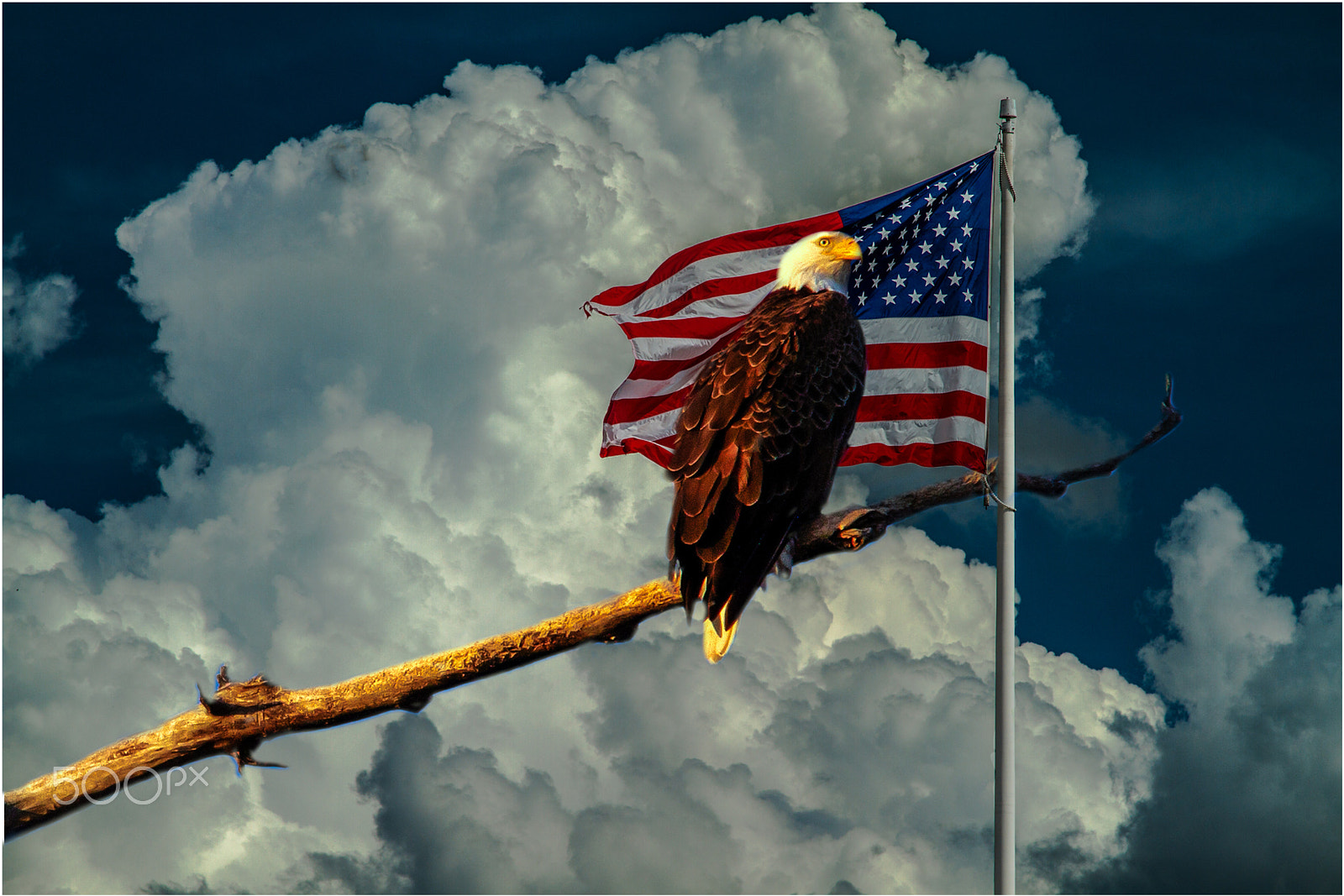 Canon EF 70-200mm F4L IS USM sample photo. Freedom photography