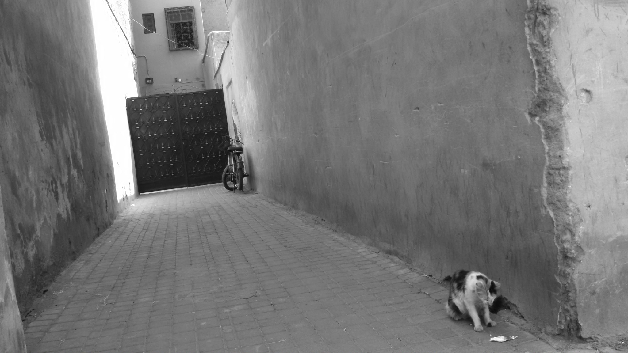Motorola DROID RAZR HD sample photo. Moroccan cat in alley photography