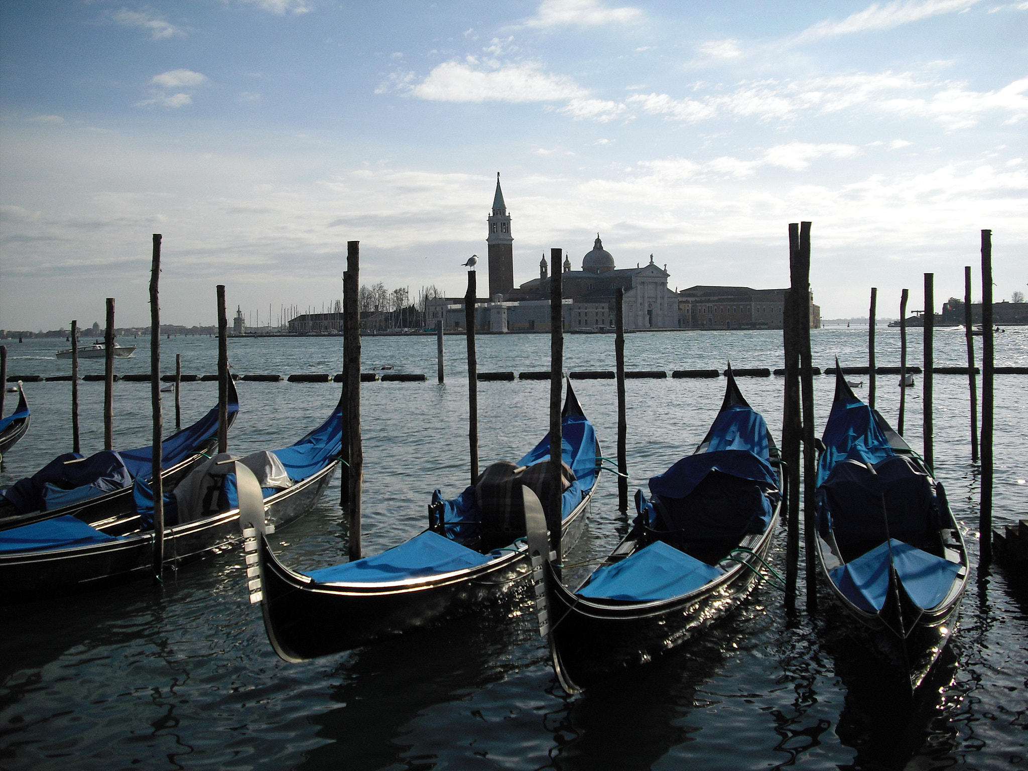 CASIO EX-Z19 sample photo. Gondola in venice photography