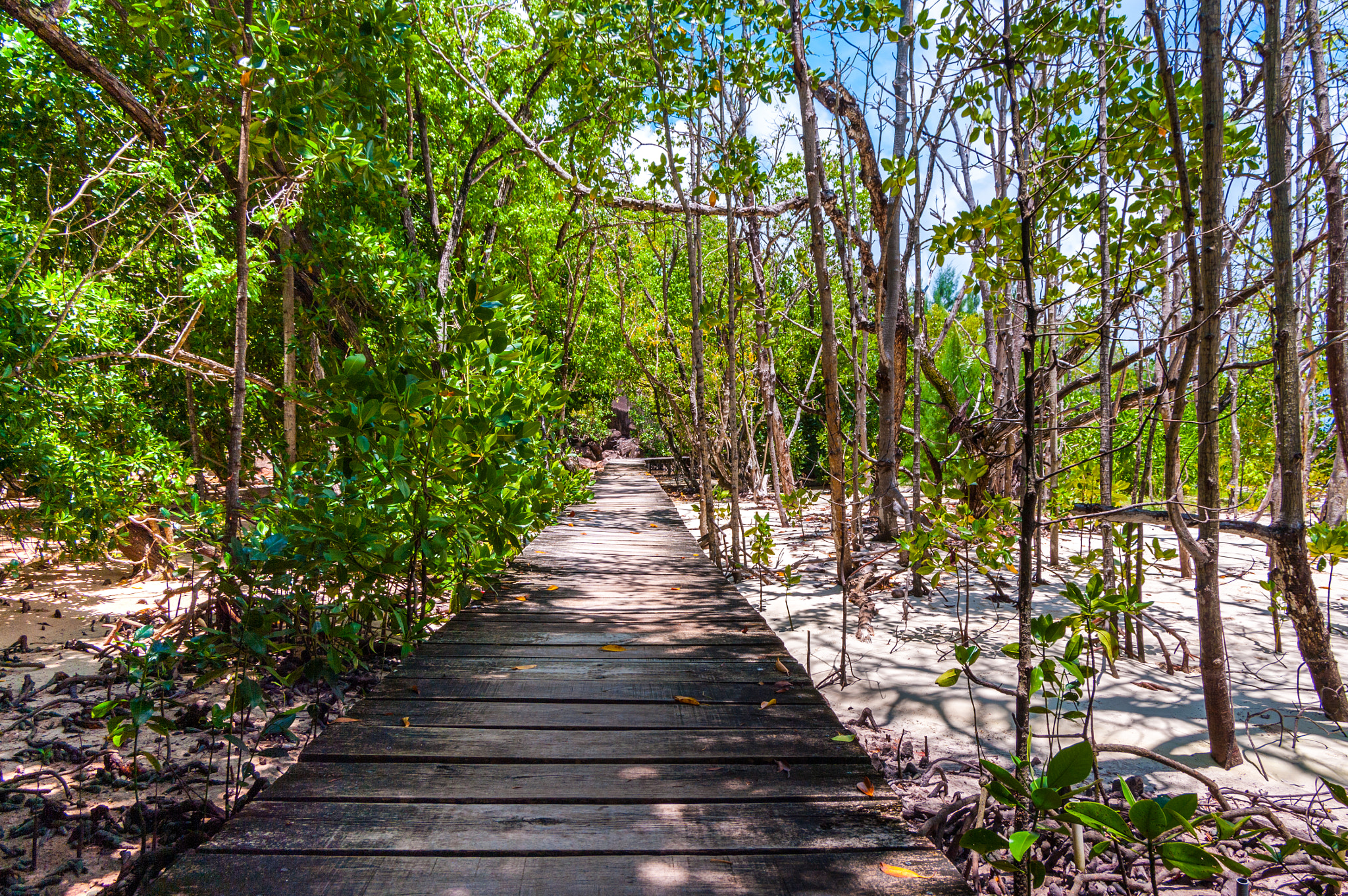 Pentax K20D + Pentax smc DA 16-45mm F4 ED AL sample photo. Island walkway photography