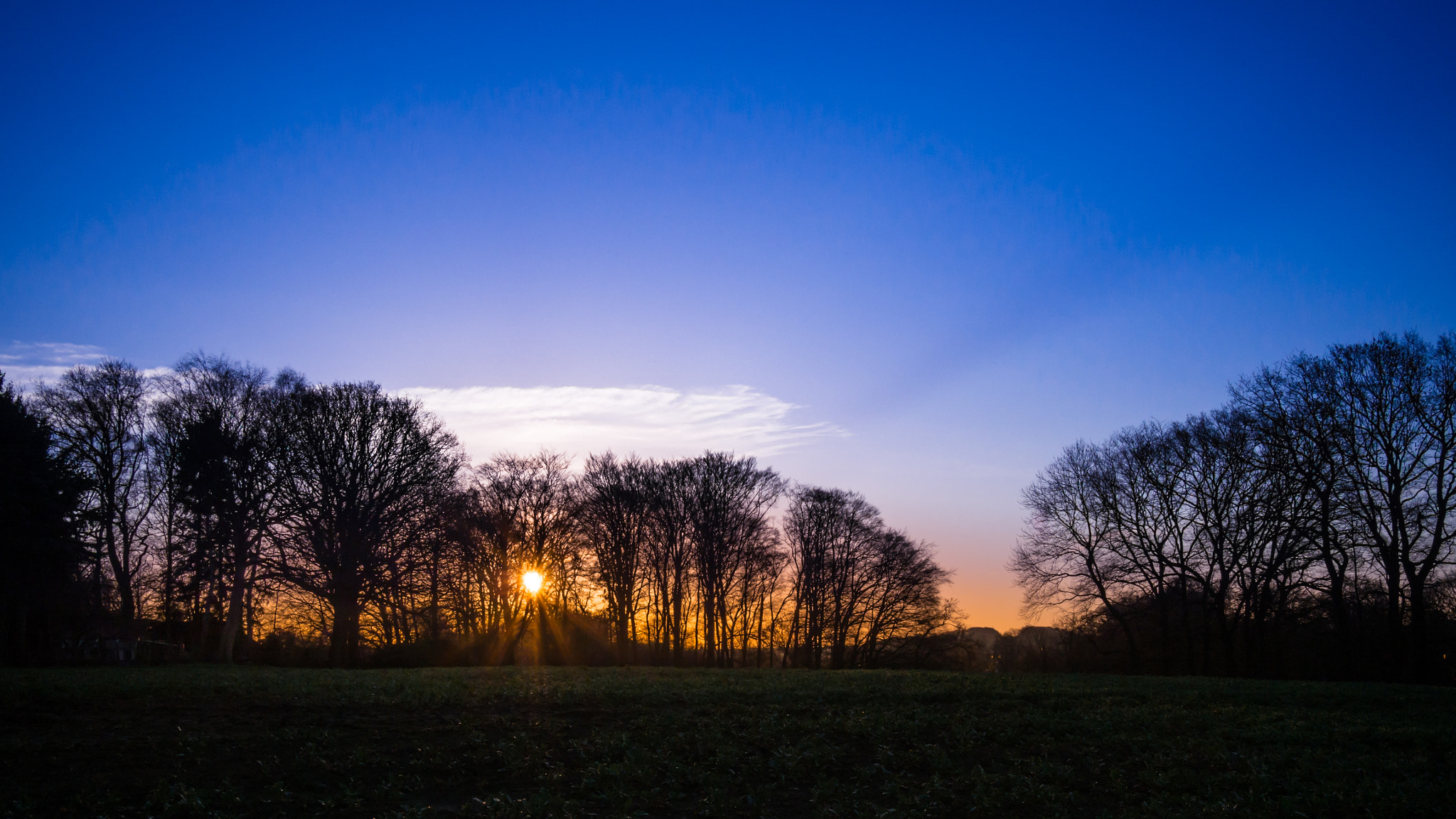 Olympus OM-D E-M10 + LUMIX G 20/F1.7 II sample photo. Sunrise at "my field" ii photography