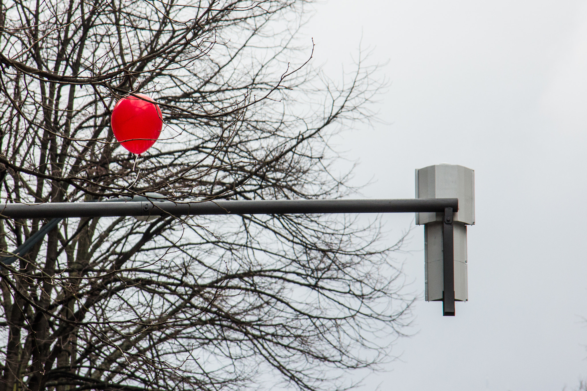 Sigma 18-125mm F3.8-5.6 DC OS HSM sample photo. Red light photography