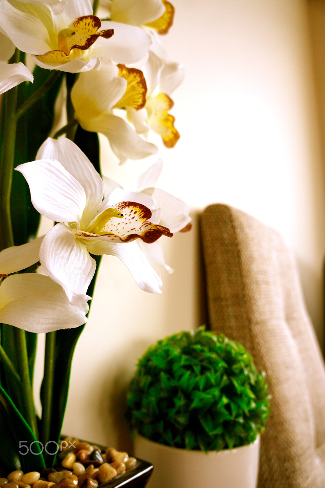 Tamron 18-200mm F3.5-6.3 Di III VC sample photo. Spring photography