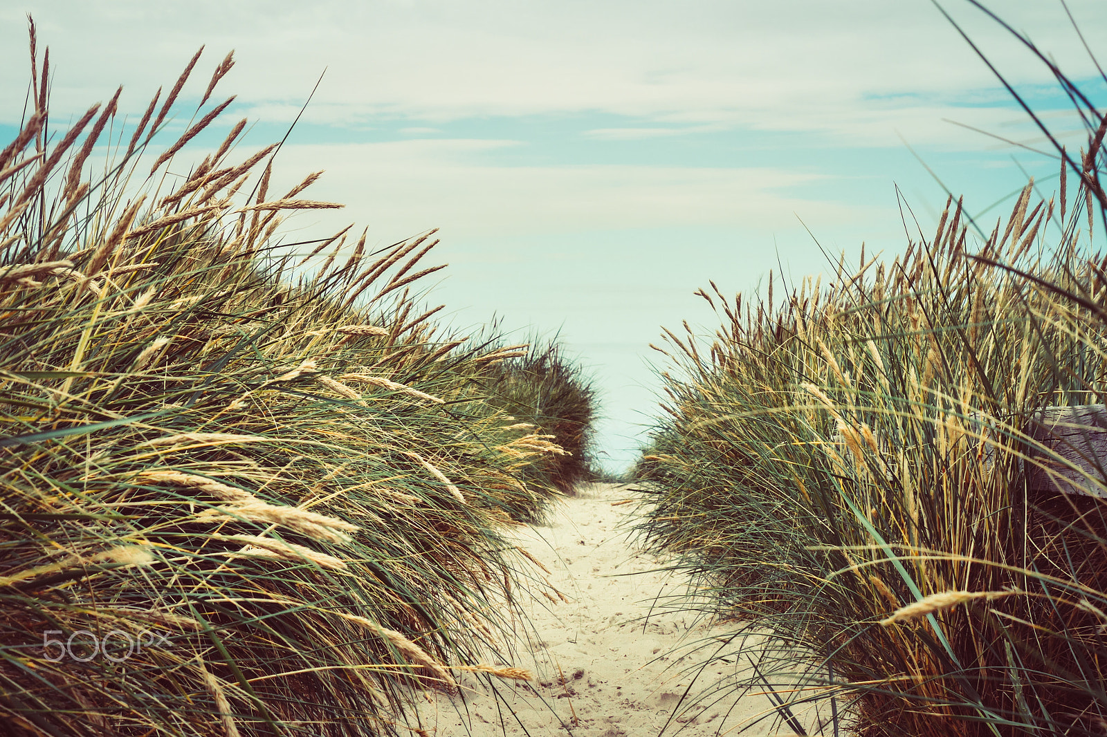 LUMIX G VARIO 45-150/F4.0-5.6 sample photo. Path to the sea photography