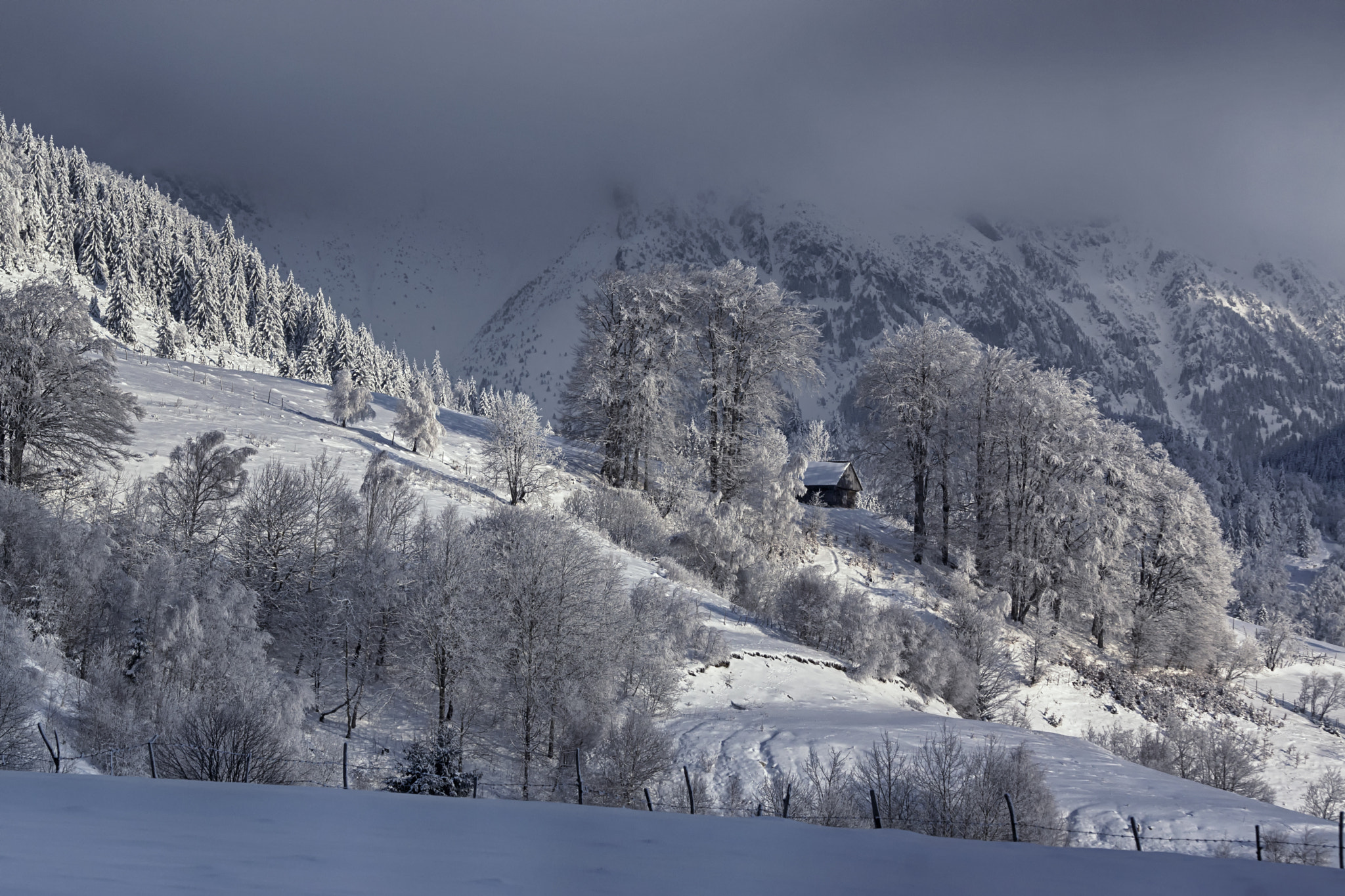 Sony SLT-A77 + Tamron SP AF 70-200mm F2.8 Di LD (IF) MACRO sample photo. Romanian stories - winter landscapes photography