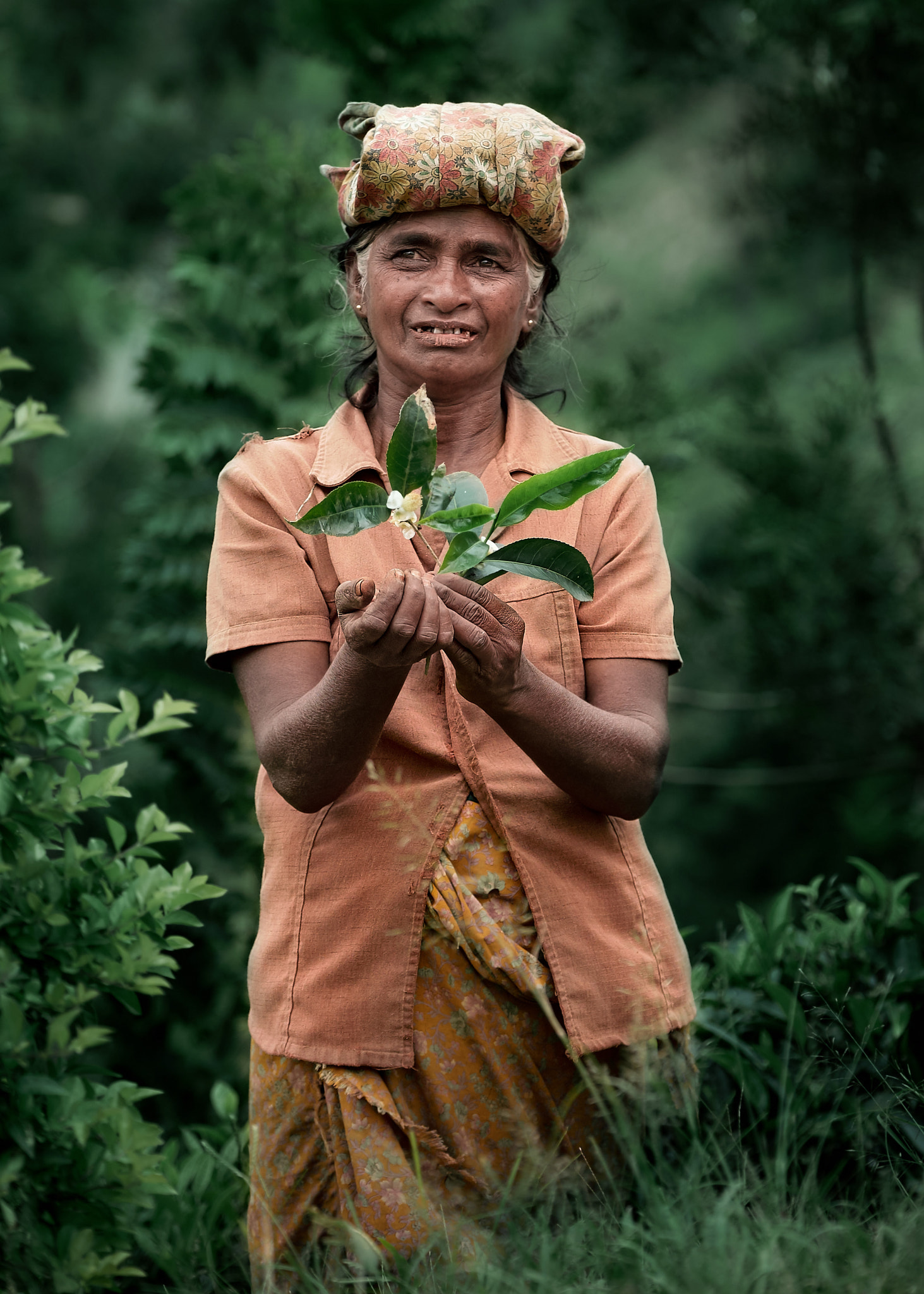 Fujifilm X-E2 + Fujifilm XF 50-140mm F2.8 R LM OIS WR sample photo. Sri lanka tea plantation photography