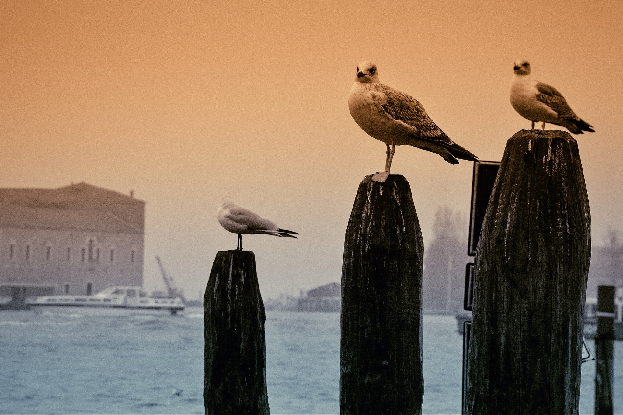 18.00 - 105.00 mm f/3.5 - 5.6 sample photo. Venezia - three brothers in a rainy day photography