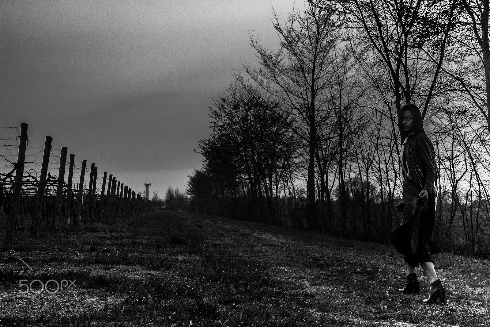 Canon EF 28-105mm f/3.5-4.5 USM sample photo. Escape photography