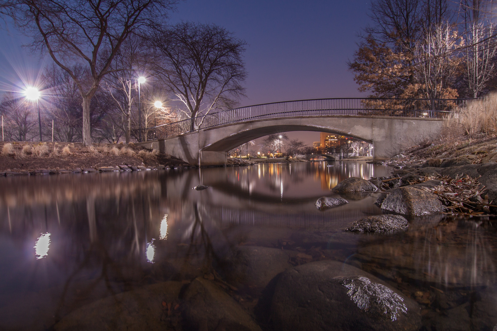 Sigma 10-20mm F3.5 EX DC HSM sample photo. Urban nature photography