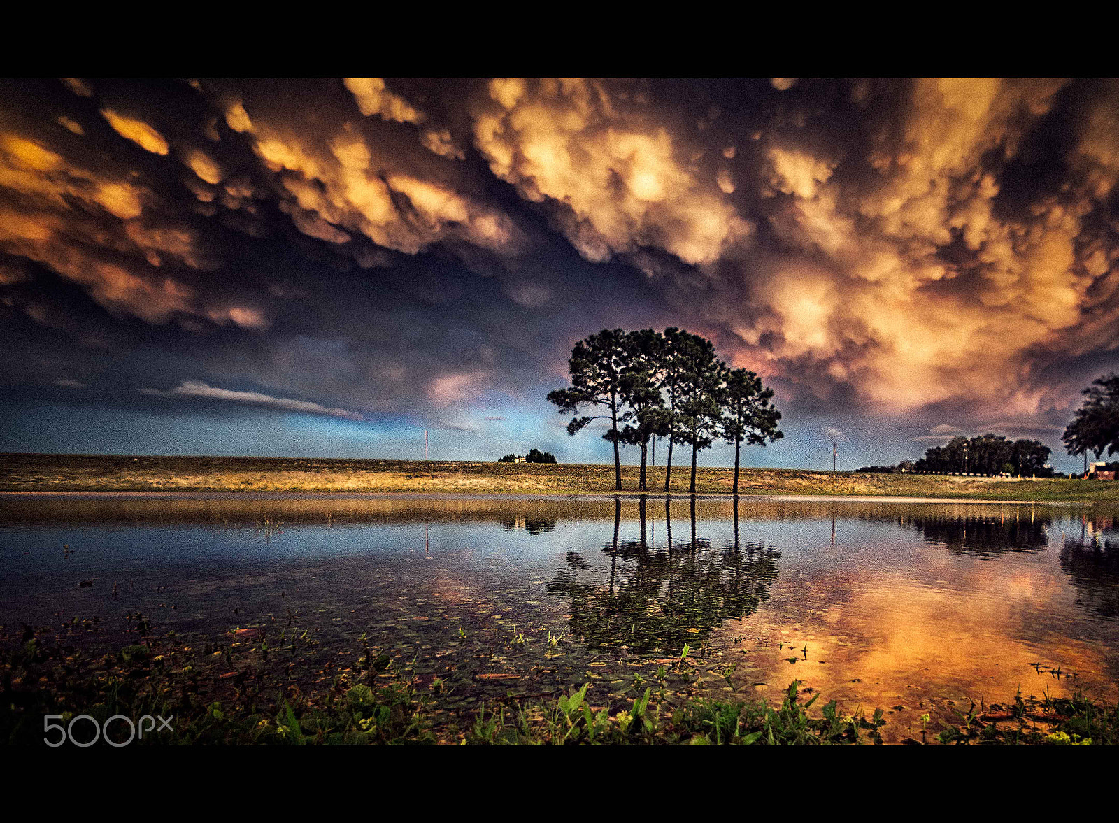 Sony Alpha NEX-3N + Sony E 16mm F2.8 sample photo. After the storm, panama city, fl photography