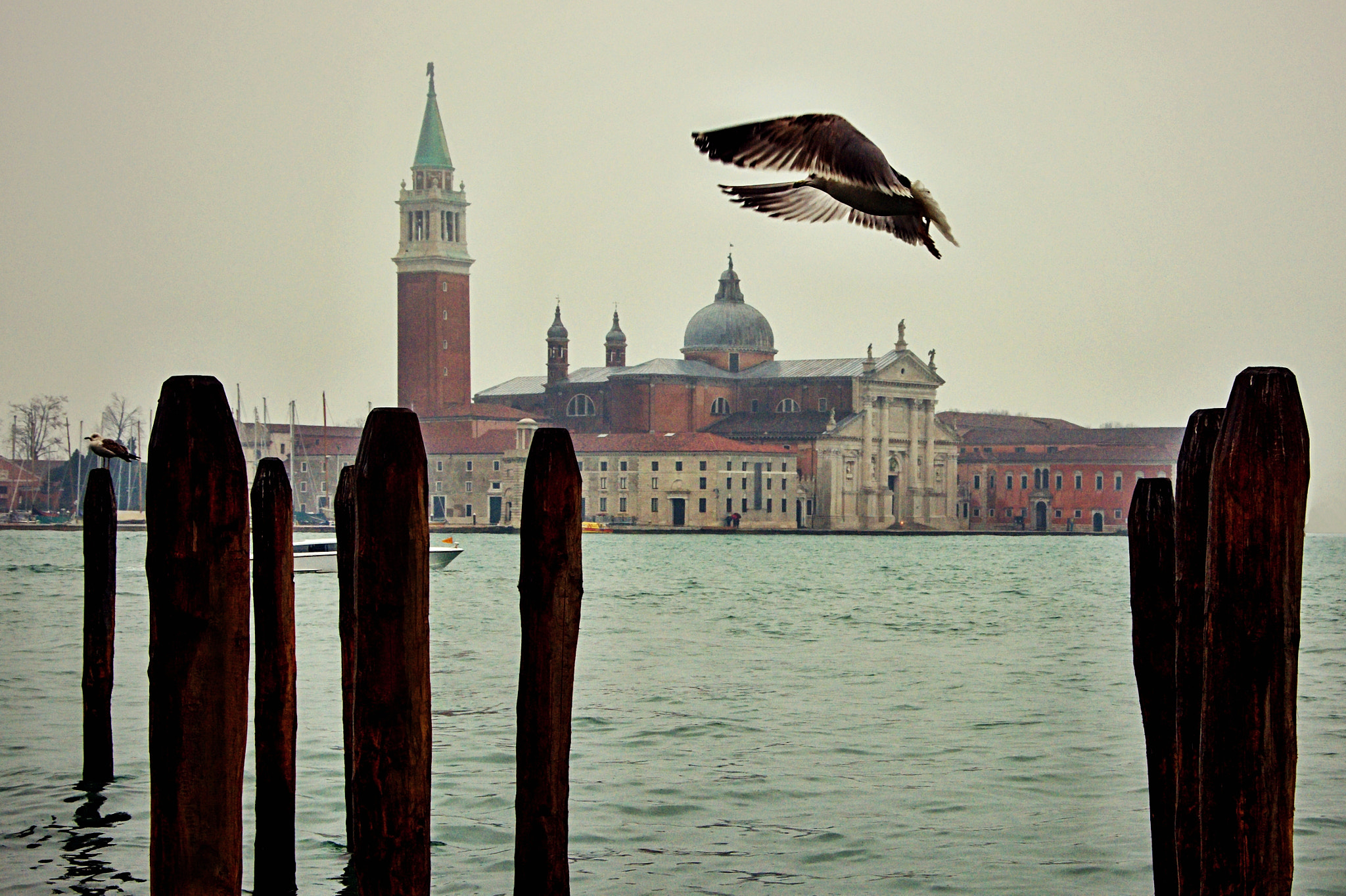 18.00 - 105.00 mm f/3.5 - 5.6 sample photo. Venezia - flying angel over troubled water photography