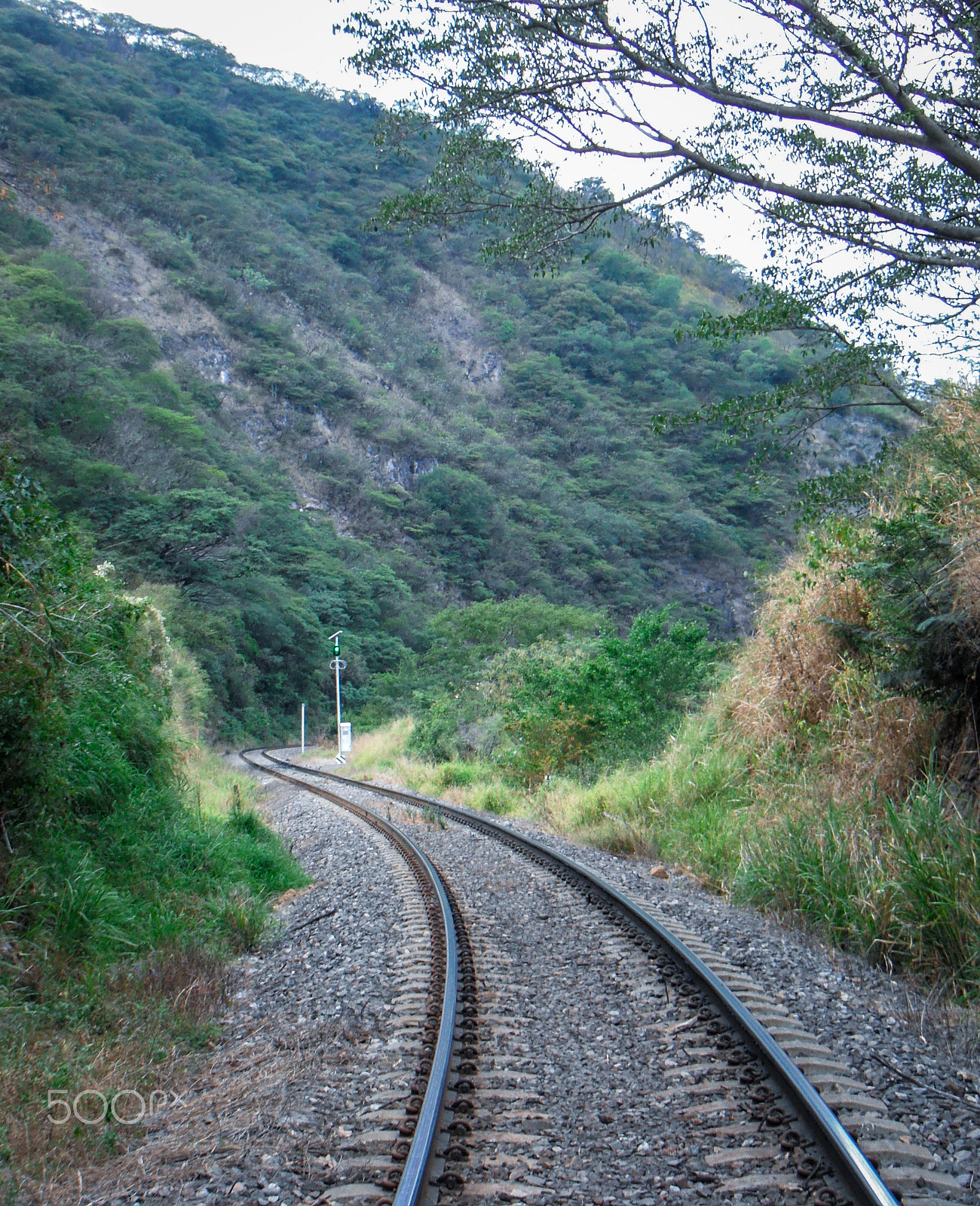 FujiFilm FinePix Z70 (FinePix Z71) sample photo. Curves on the railroad photography