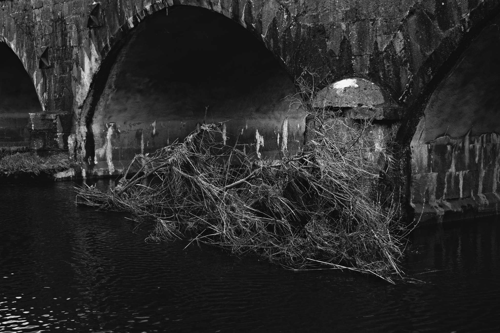 18.00 - 55.00 mm f/3.5 - 5.6 sample photo. Under bridge photography