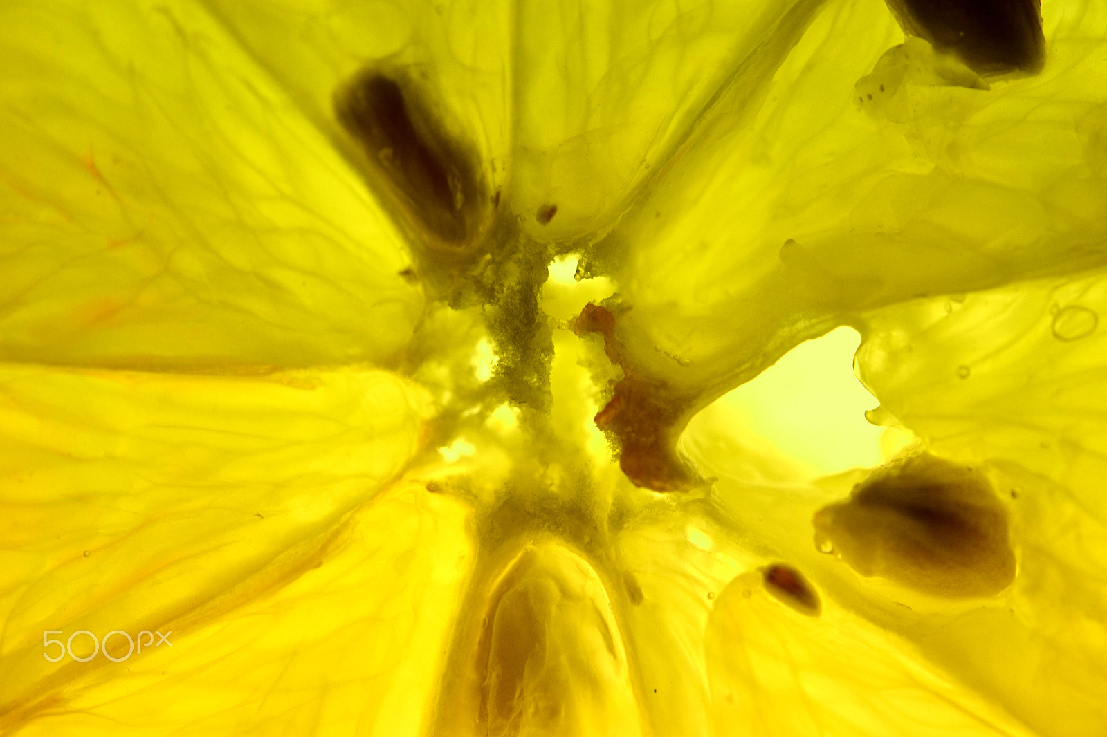 Nikon AF-S Micro-Nikkor 60mm F2.8G ED sample photo. Yellow lemon photography