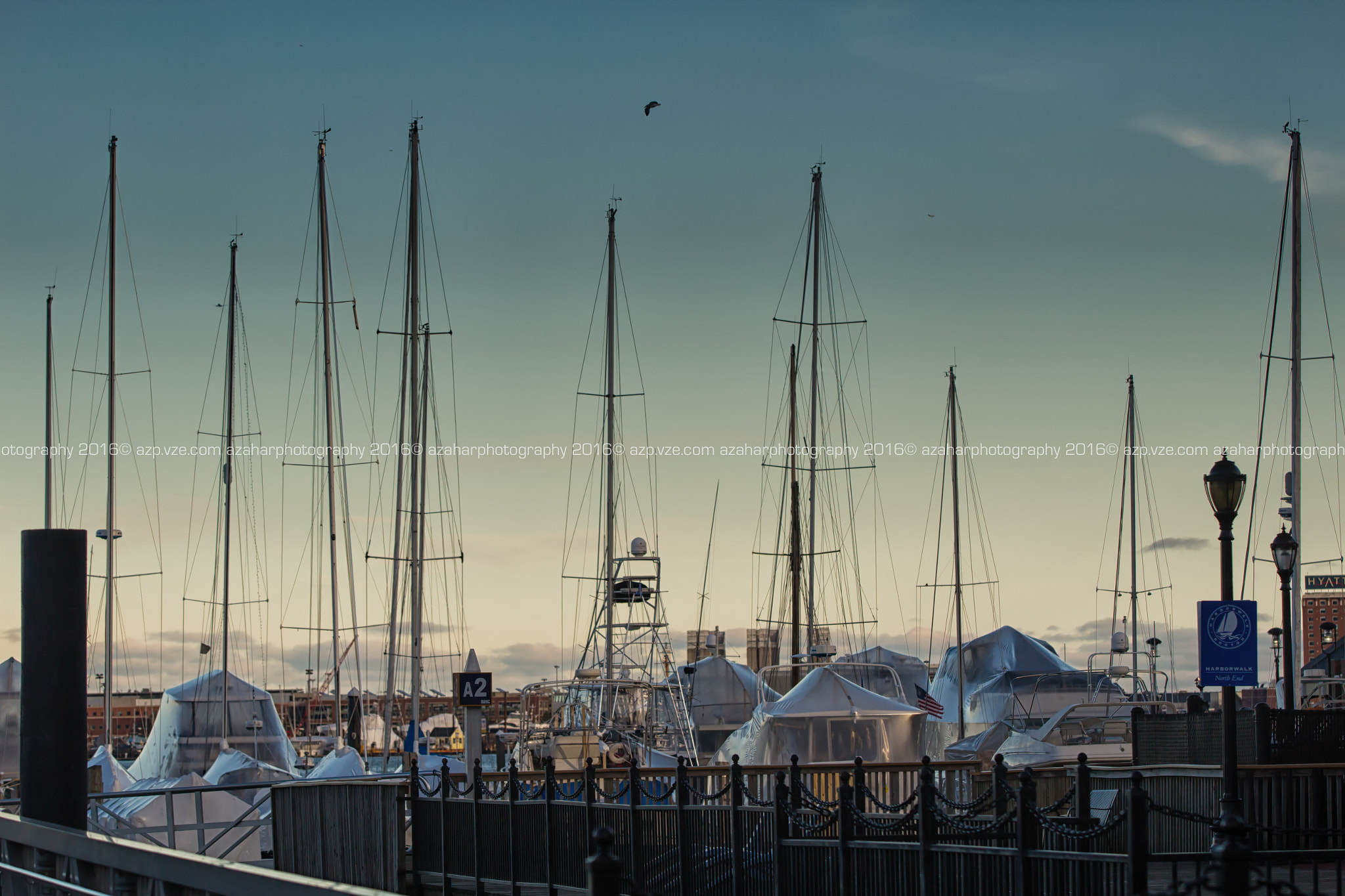 Canon EF 70-200mm F2.8L IS II USM sample photo. Harbor walk photography