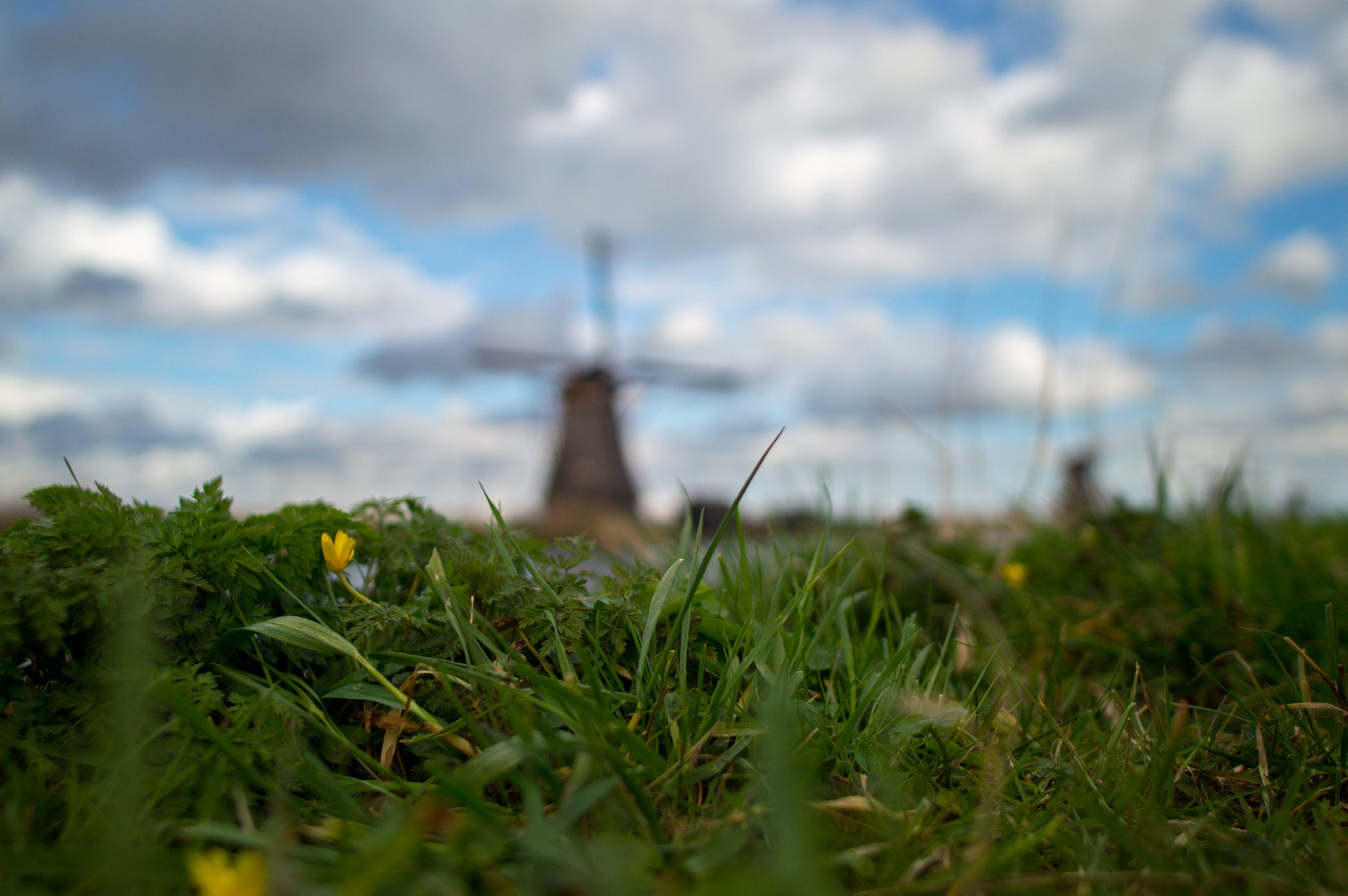 Nikon D3200 + Nikon AF-S Nikkor 20mm F1.8G ED sample photo. Kinderdijk mills photography