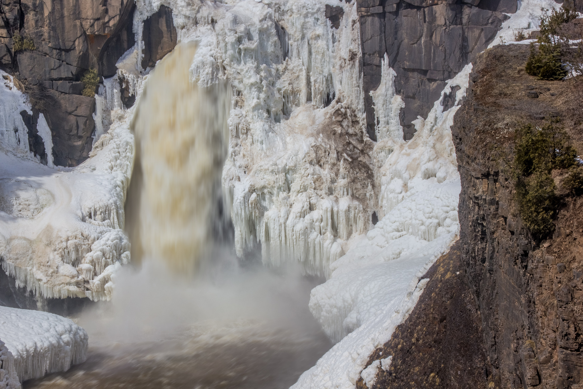 Canon EOS 550D (EOS Rebel T2i / EOS Kiss X4) sample photo. Pigeon falls photography