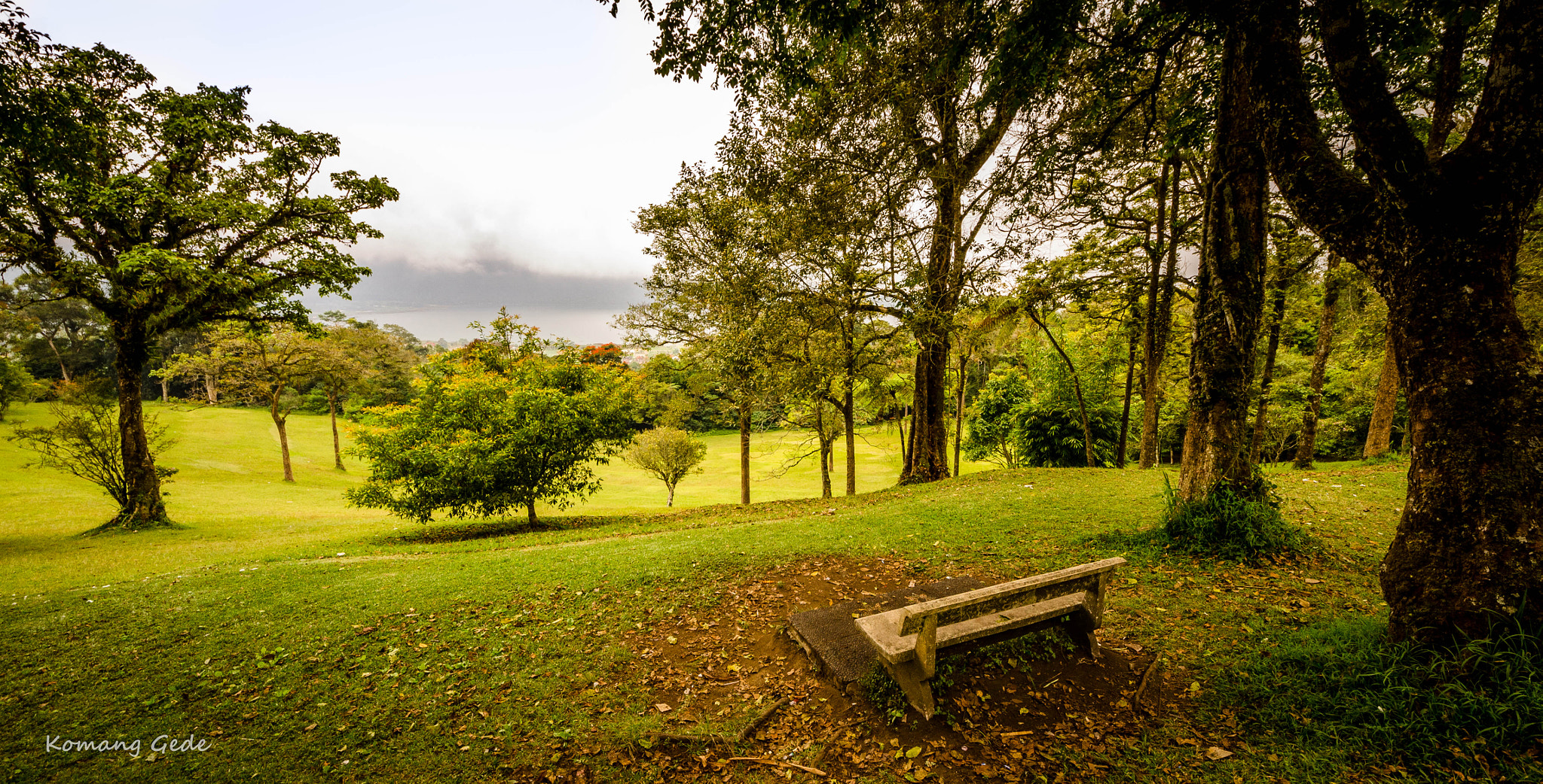 Sigma 8-16mm F4.5-5.6 DC HSM sample photo. Bedugul botanical garden, bali - indonesia photography