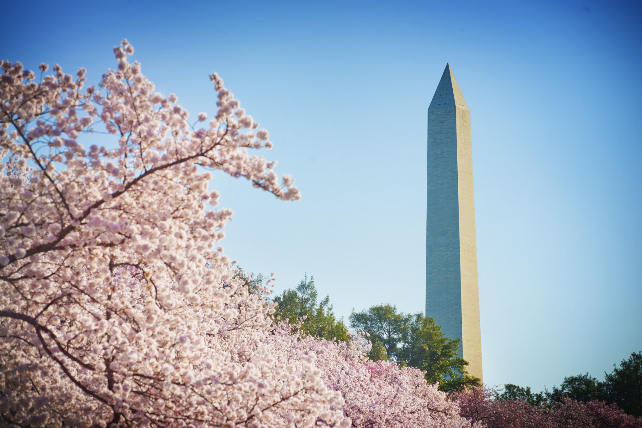 Sigma 150mm F2.8 EX DG Macro HSM sample photo. Washington monument photography