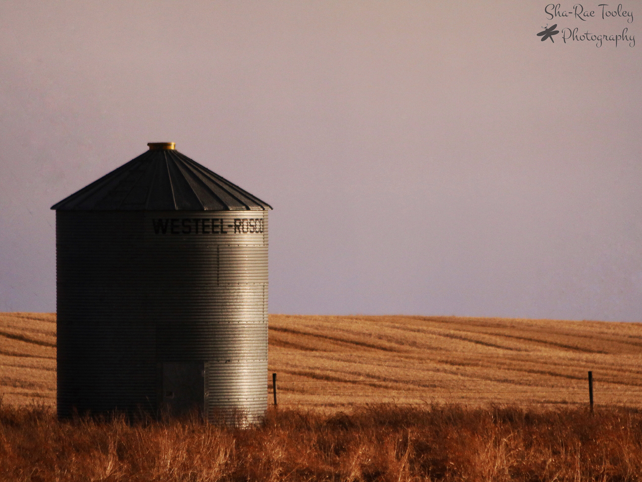 Canon EF 70-300mm F4-5.6 IS USM sample photo. Sunset on a silo photography