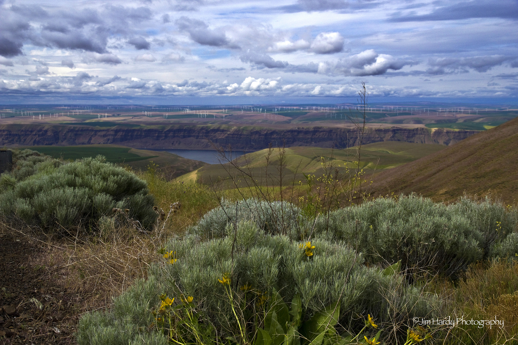 Canon EOS 550D (EOS Rebel T2i / EOS Kiss X4) sample photo. Oregon wind farm photography