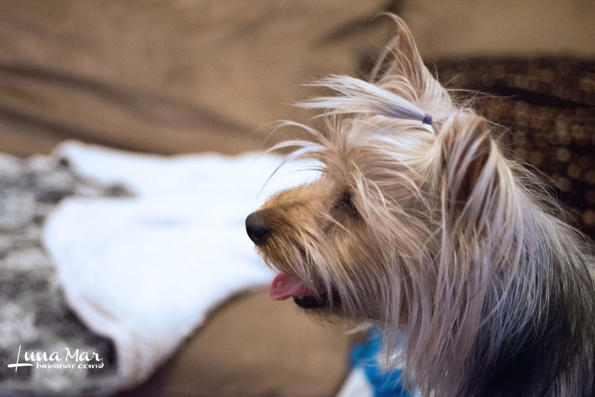 AF Zoom-Nikkor 35-70mm f/3.3-4.5 sample photo. Bola photography