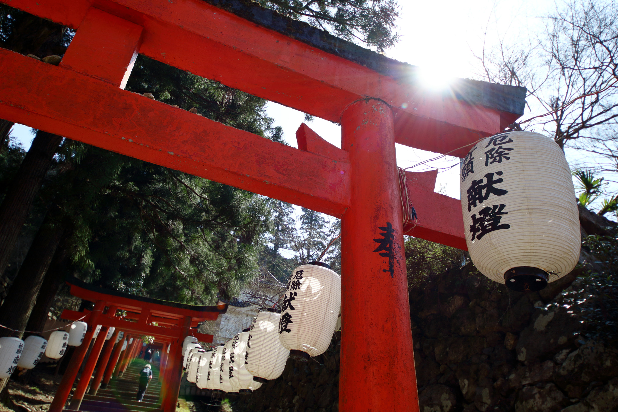 Canon EOS 700D (EOS Rebel T5i / EOS Kiss X7i) + Sigma 8-16mm F4.5-5.6 DC HSM sample photo. Red "torii" 2 photography