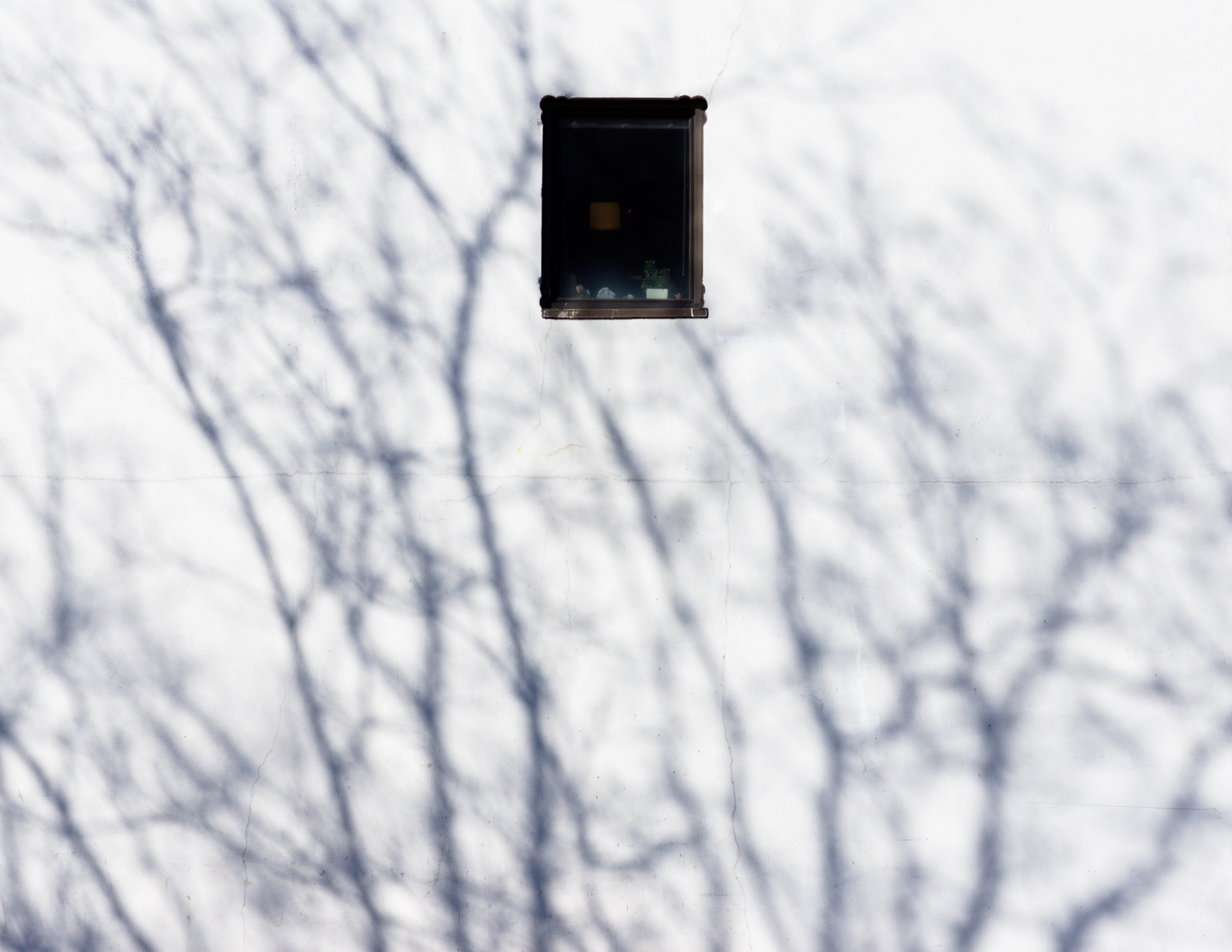 Sony SLT-A77 + Sony 50mm F1.4 sample photo. *** photography