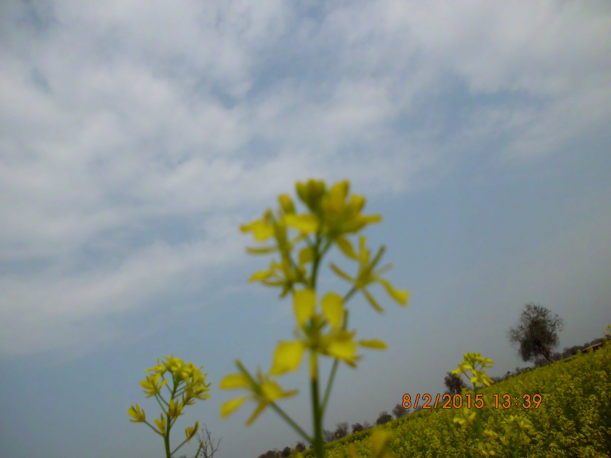 Benq AE200 sample photo