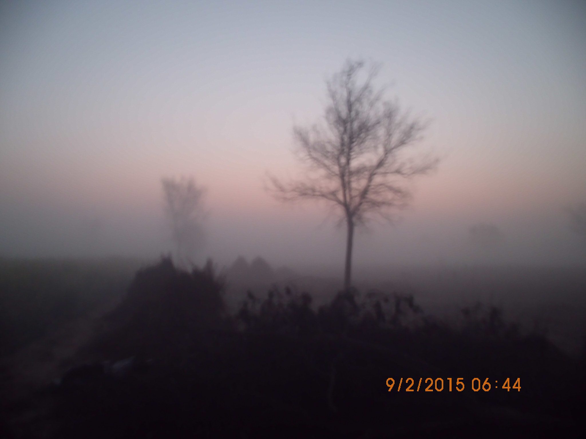 Benq AE200 sample photo. Winter morning mist photography