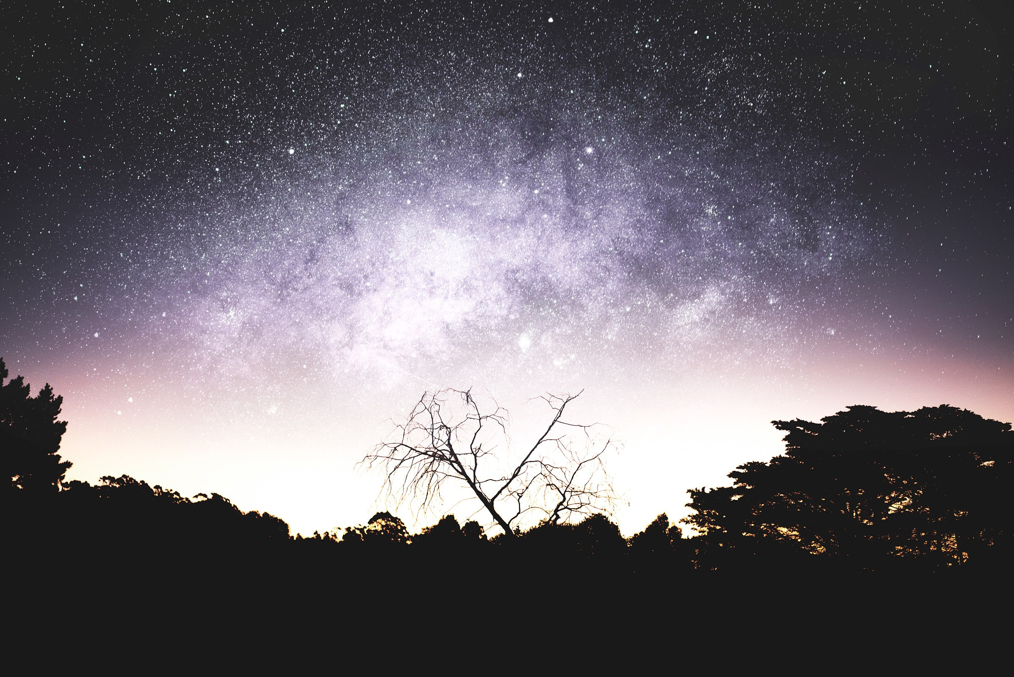 Sony a7R + Sony Sonnar T* FE 55mm F1.8 ZA sample photo. Milky way photography