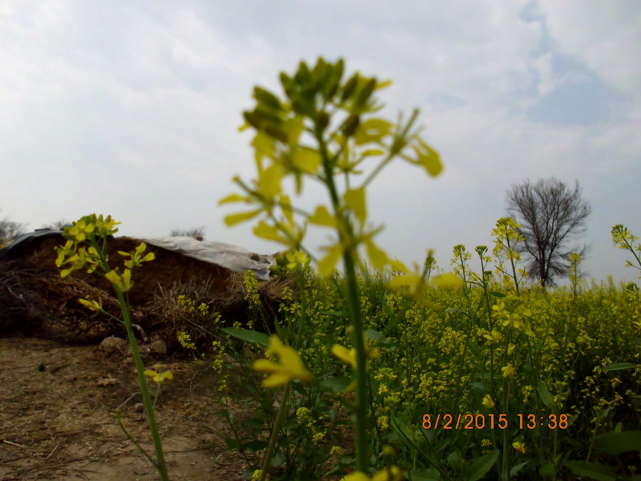 Benq AE200 sample photo
