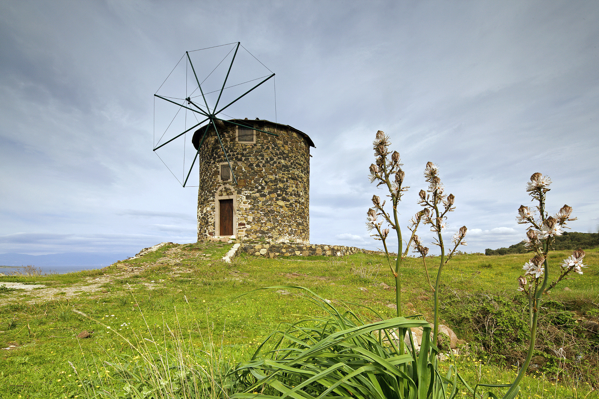 Canon TS-E 17mm F4L Tilt-Shift sample photo. Windmill & flowers photography