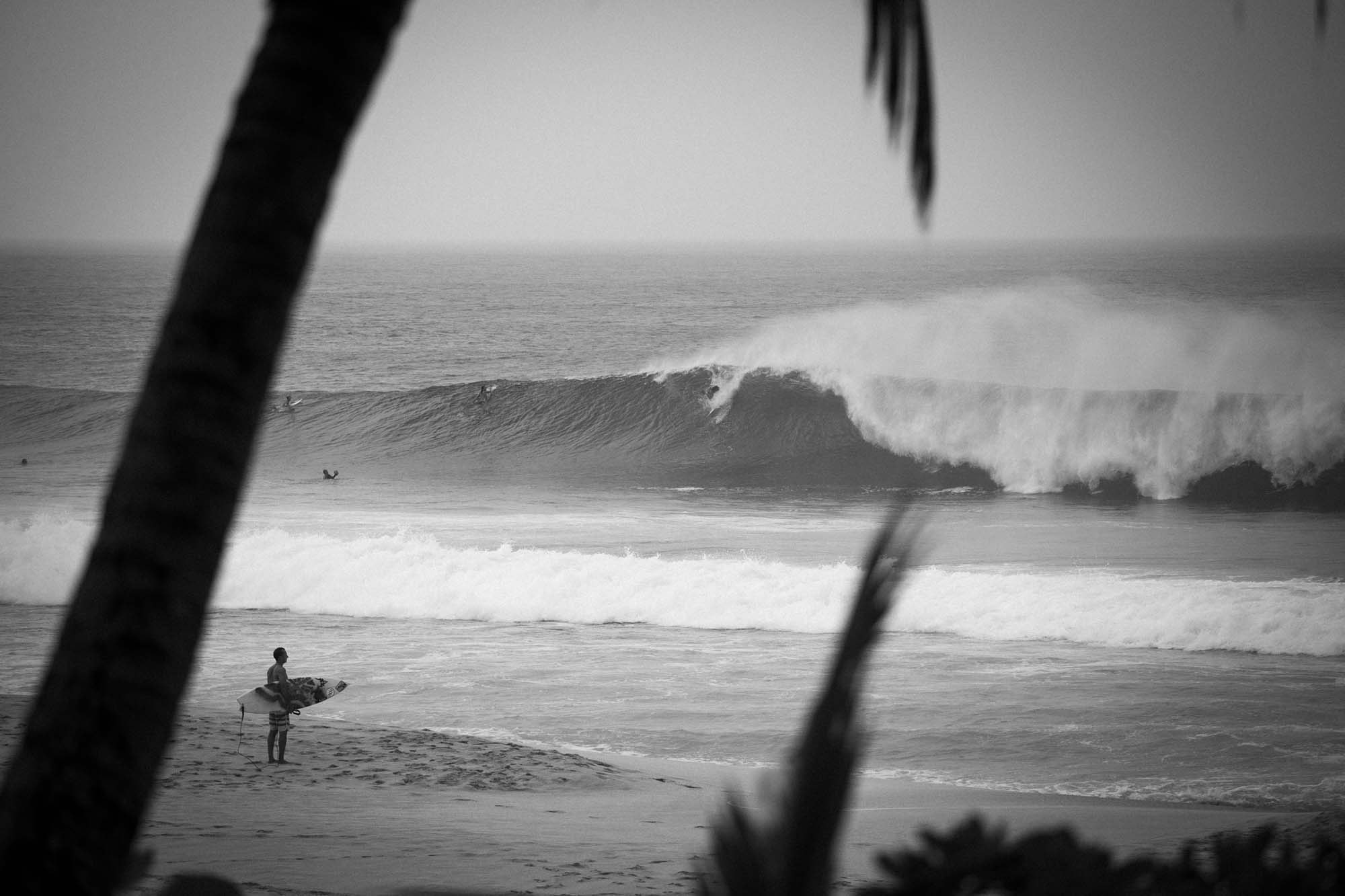 Canon EF 70-200mm F4L IS USM sample photo. Christie photography