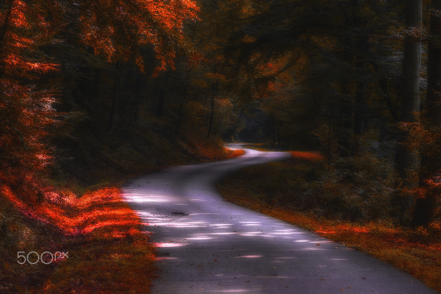 Sony ILCA-77M2 + Sigma 30mm F1.4 EX DC HSM sample photo. Colors road photography