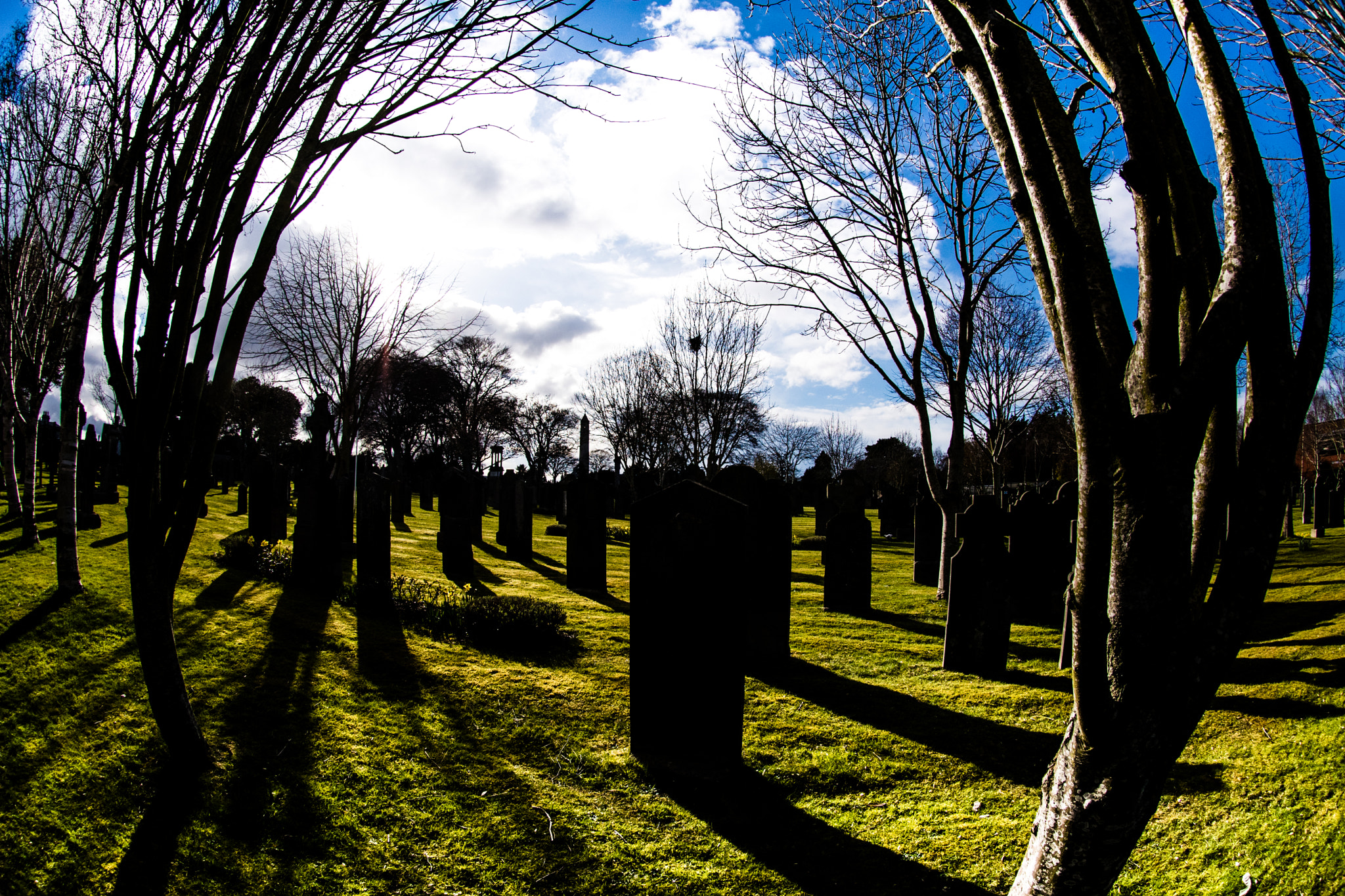 Nikon AF DX Fisheye-Nikkor 10.5mm F2.8G ED sample photo. Views of glesnevin cemetery photography