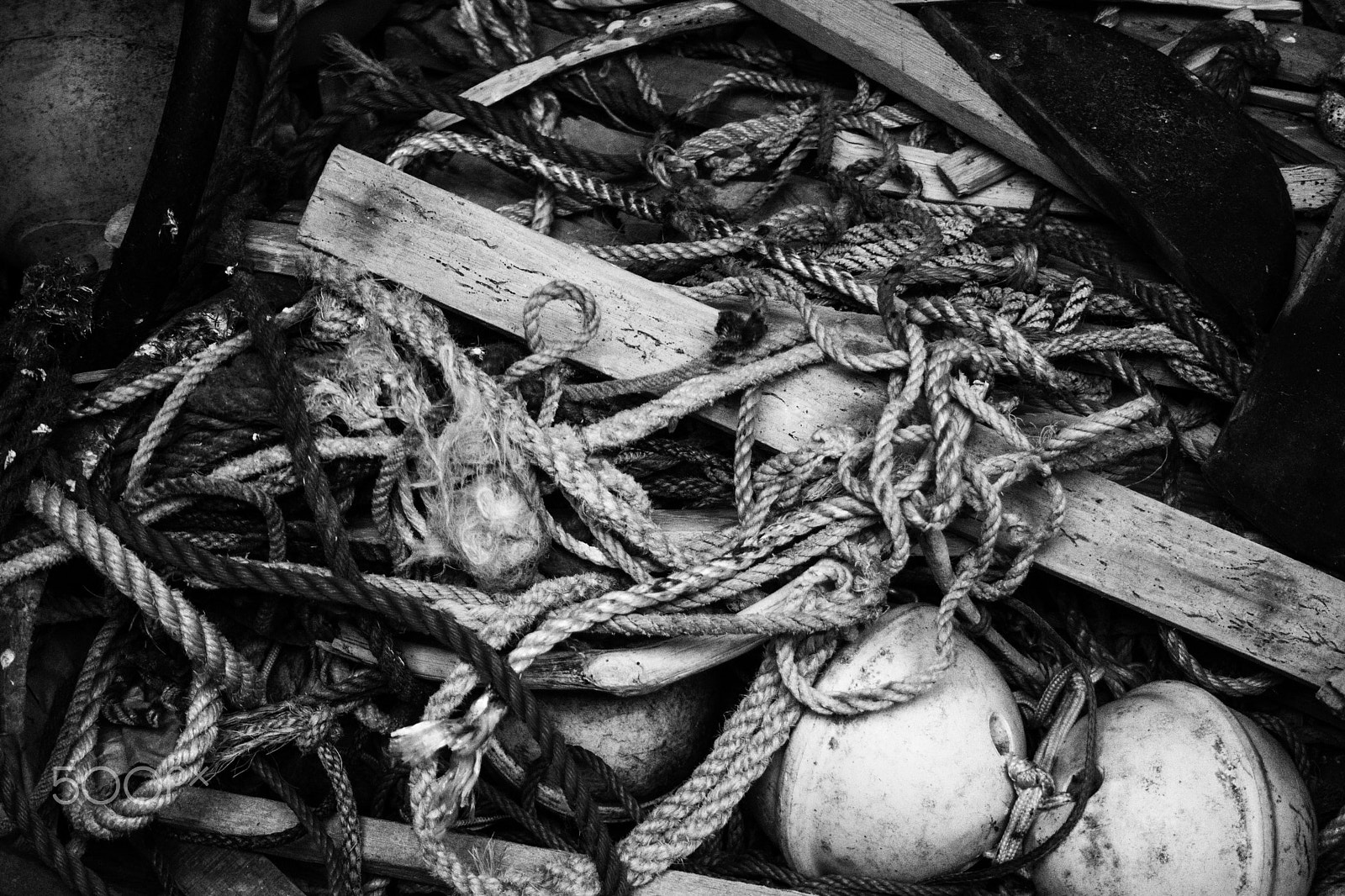 Canon EF-S 18-55mm F3.5-5.6 sample photo. Ropes n' tangles photography