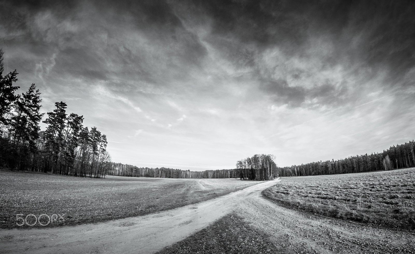 Nikon D300 + Samyang 8mm F3.5 Aspherical IF MC Fisheye sample photo. Spring is coming. photography