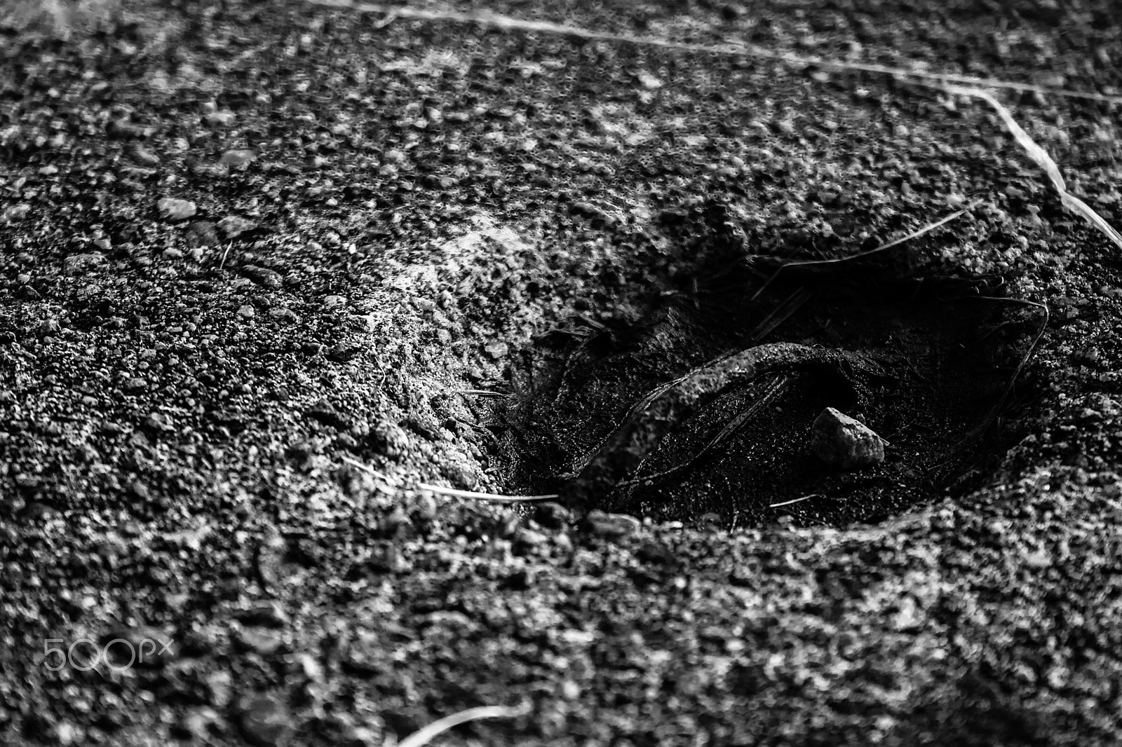 Canon EF-S 18-55mm F3.5-5.6 sample photo. Ant bridge photography