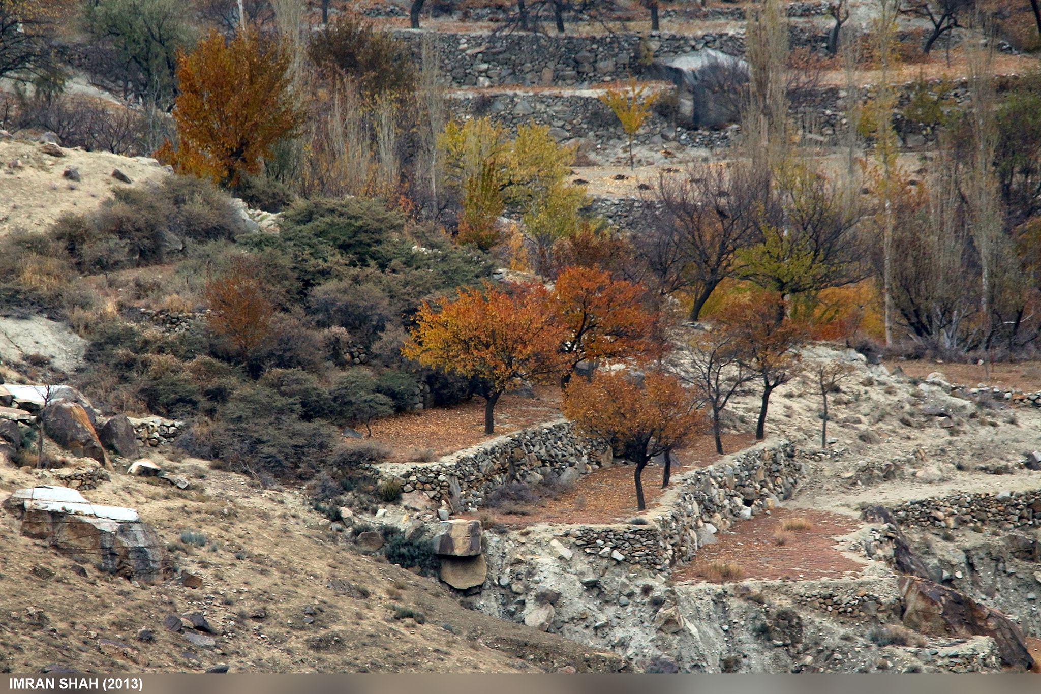 Sigma 150-500mm F5-6.3 DG OS HSM sample photo. Murtazabad photography