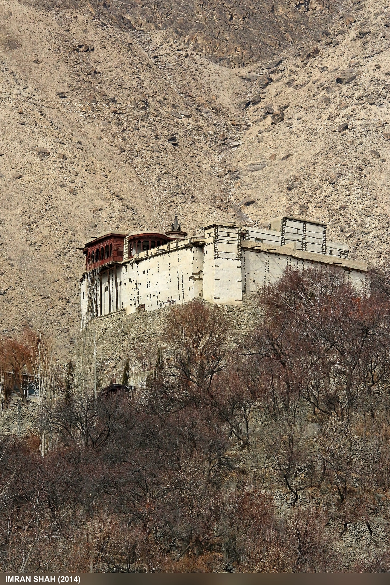 Sigma 150-500mm F5-6.3 DG OS HSM sample photo. Baltit fort photography