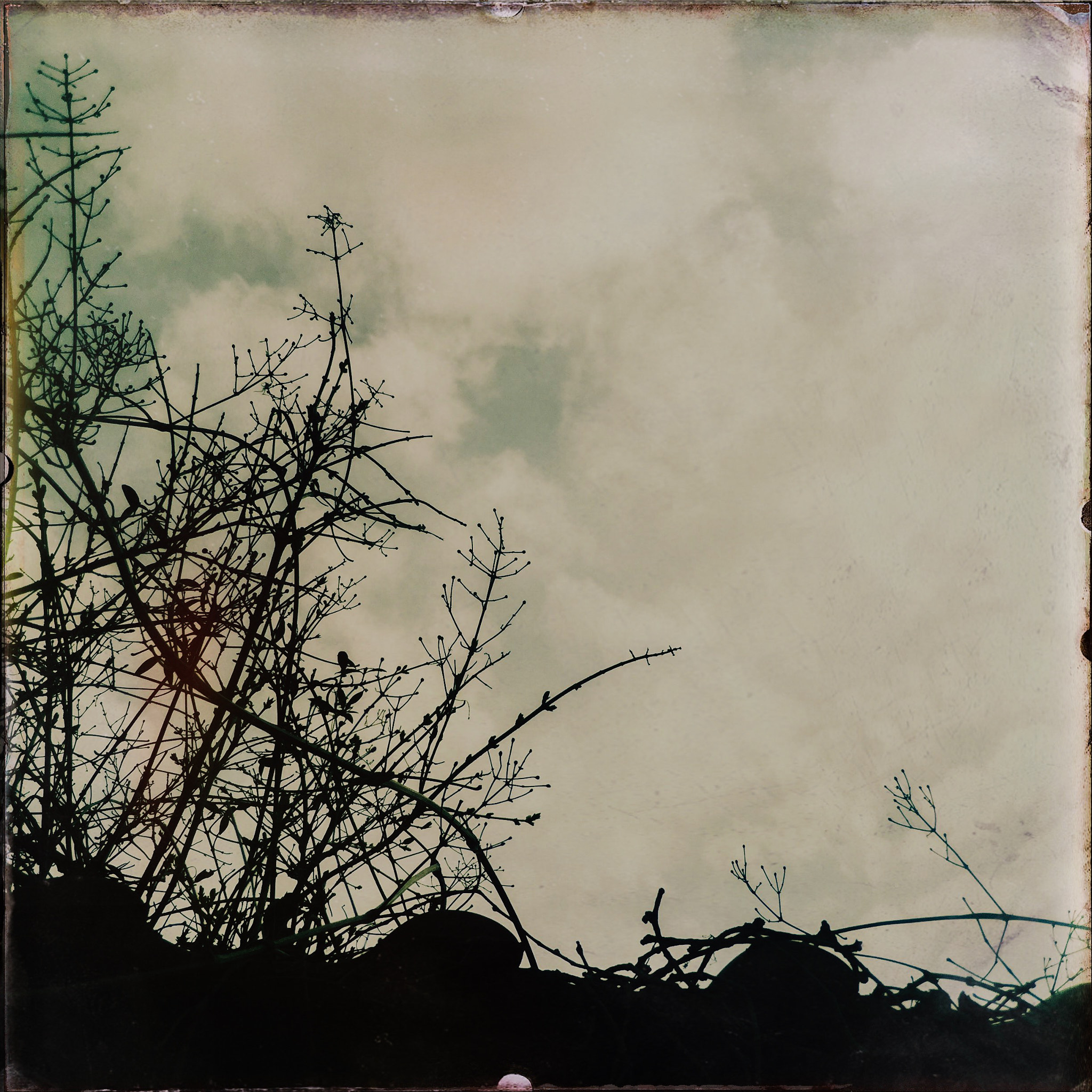 Hipstamatic 312 sample photo. Strange days photography