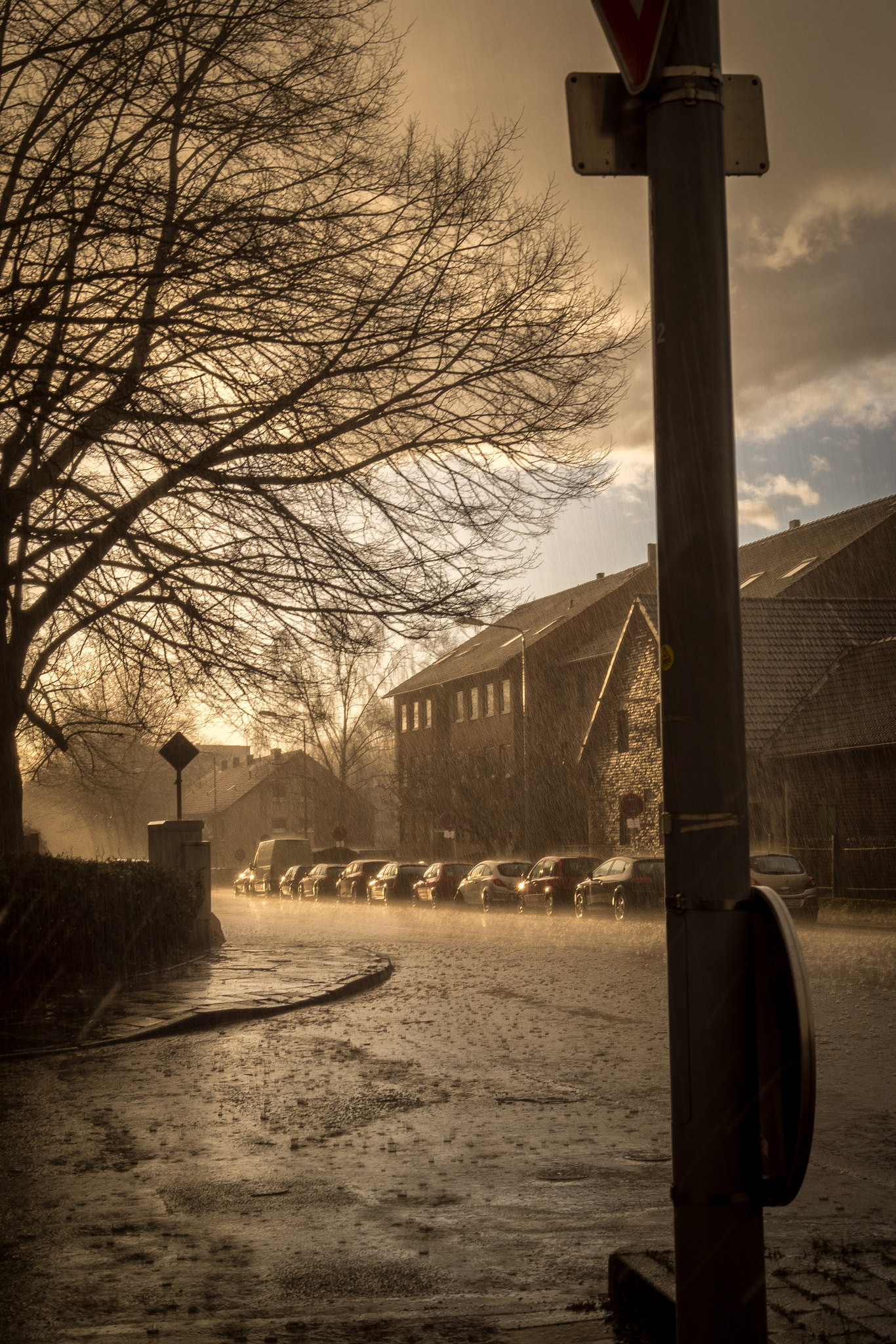 Sony SLT-A68 sample photo. Heavy rain photography