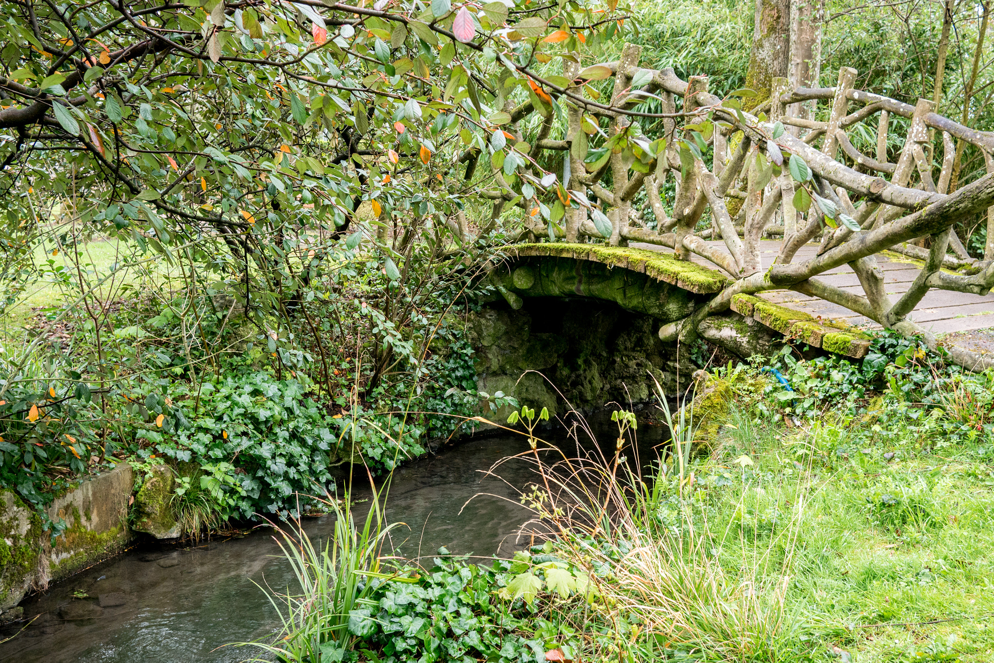 Panasonic Lumix DMC-G7 + LUMIX G 20/F1.7 II sample photo. Little bridge in the parks @la rochelle photography