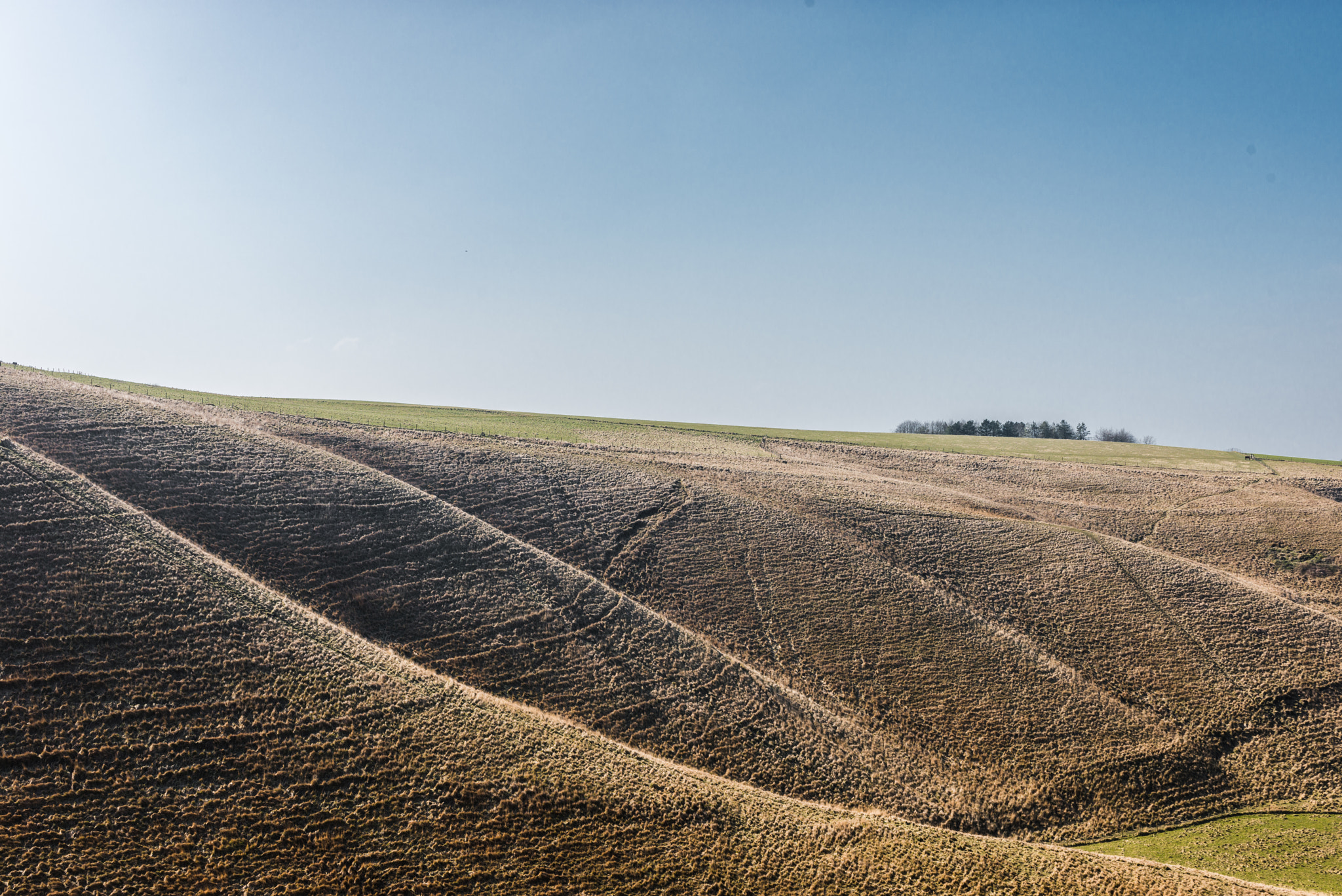 Nikon D800 + Sigma 50mm F2.8 EX DG Macro sample photo. At uffington white horse photography