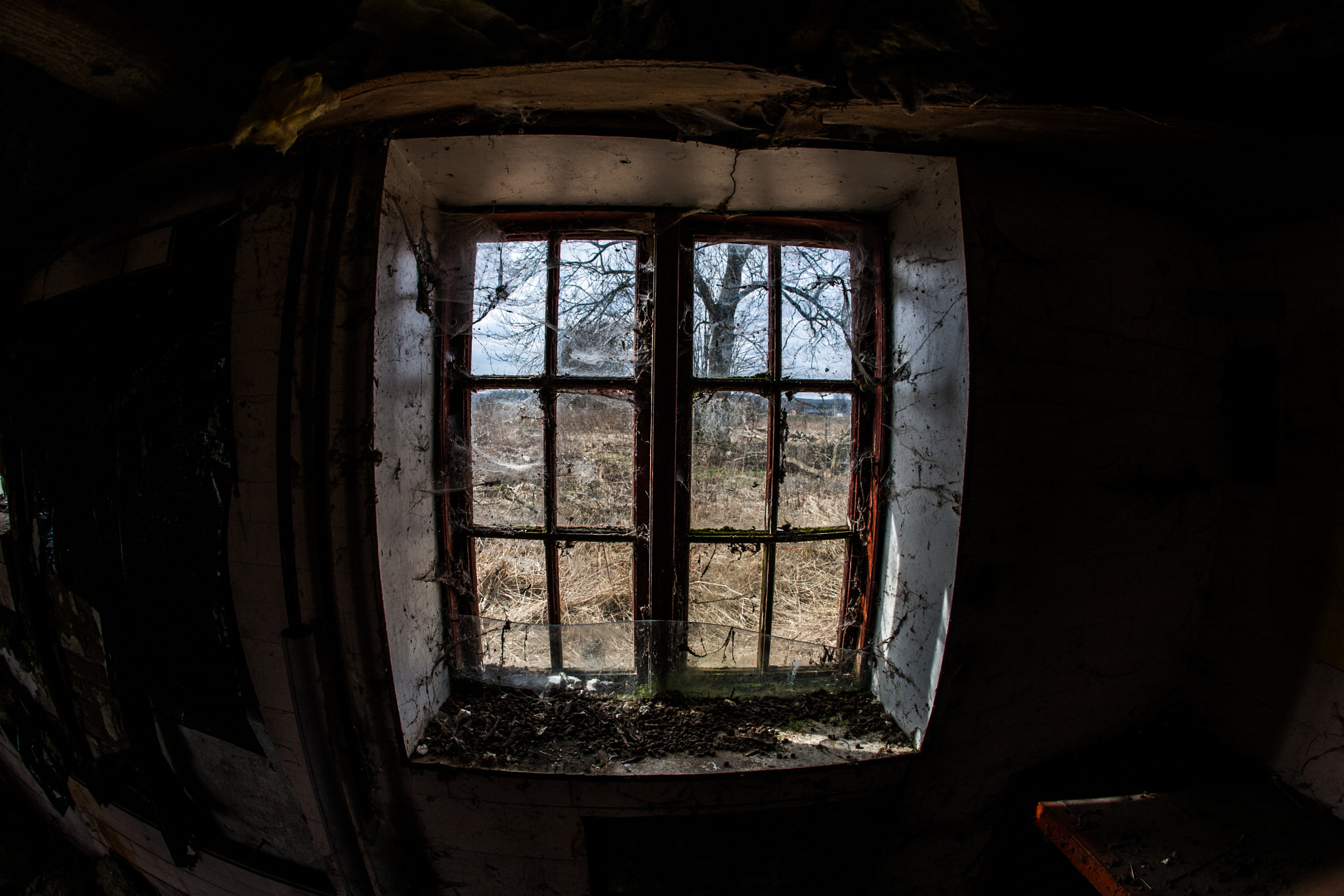 Canon EF 15mm F2.8 Fisheye sample photo. Imgl5794.jpg photography